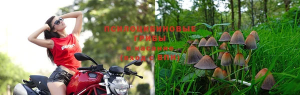 мет Семёнов