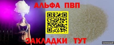 спиды Гатчина