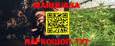 спиды Гатчина