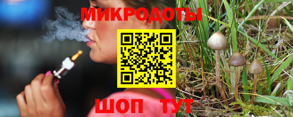 Галлюциногенные грибы GOLDEN TEACHER Вичуга
